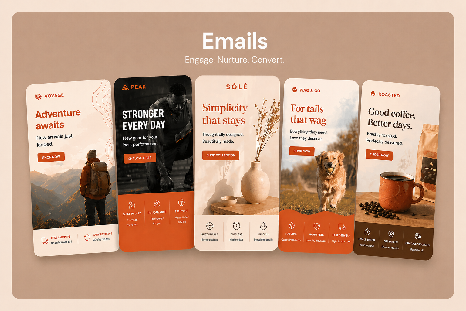 Thiết kế email Vily - mẫu email đúng chất thương hiệu cho nhiều ngành